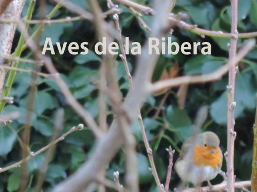 El Retiro De Isabel