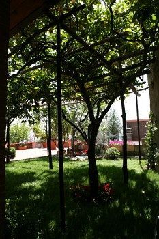 Bed & Breakfast Le Marelle