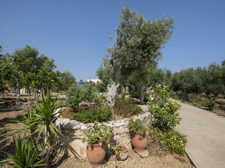Modern Villa In Sfakaki Greece With Swimming Pool
