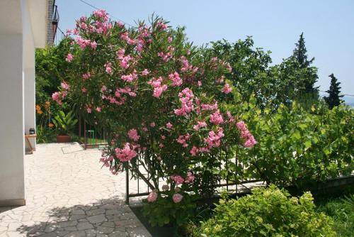 Hostal Double Room Dramalj 2386a