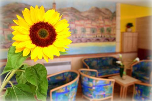 Hotel Kyriad