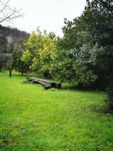 Agroturismo Finca Artienza