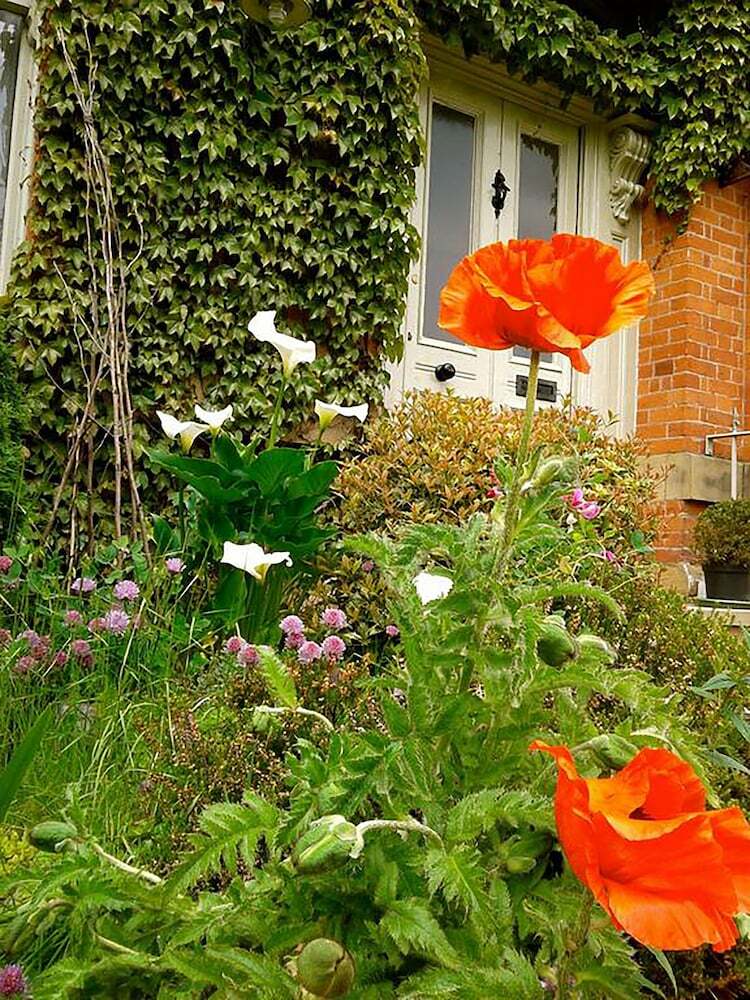 Hostal Cornerstones Guest House