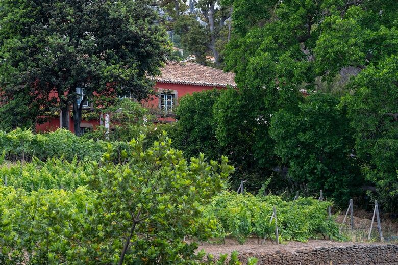 Hotel Quinta Das Vinhas
