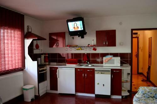 Apartament Dana