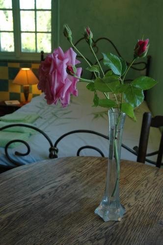 Bed & Breakfast Coste D'or