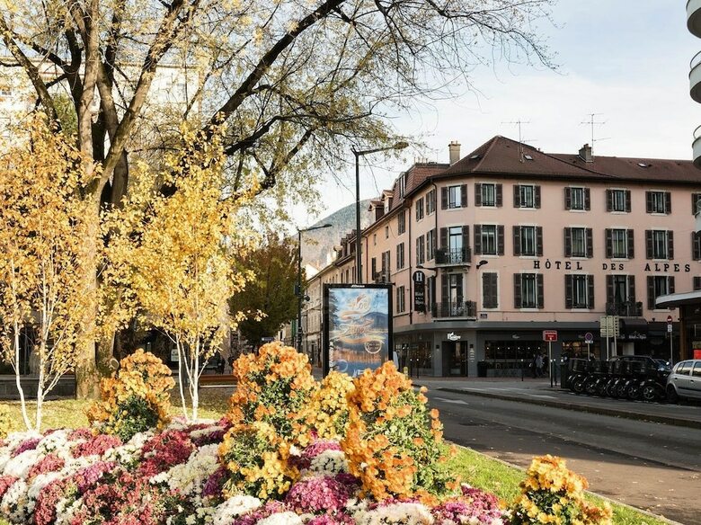 Hotel H�tel Des Alpes