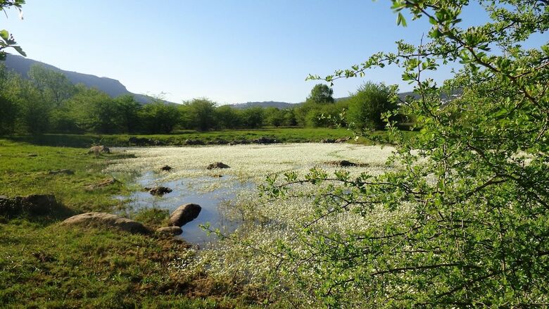 Agroturismo Retiro Do Bosque Country House