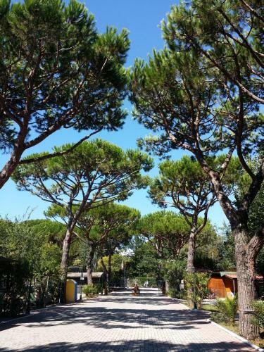 Camping Dal Pino