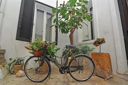 Palazzo De Donatis B&B