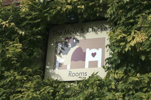 Hotel The Mole And Chicken