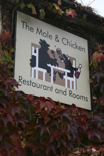Hotel The Mole And Chicken