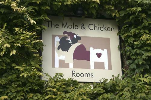 Hotel The Mole And Chicken