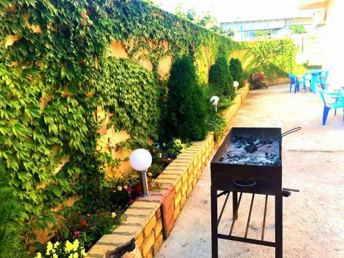 Hostal Adler Hotel