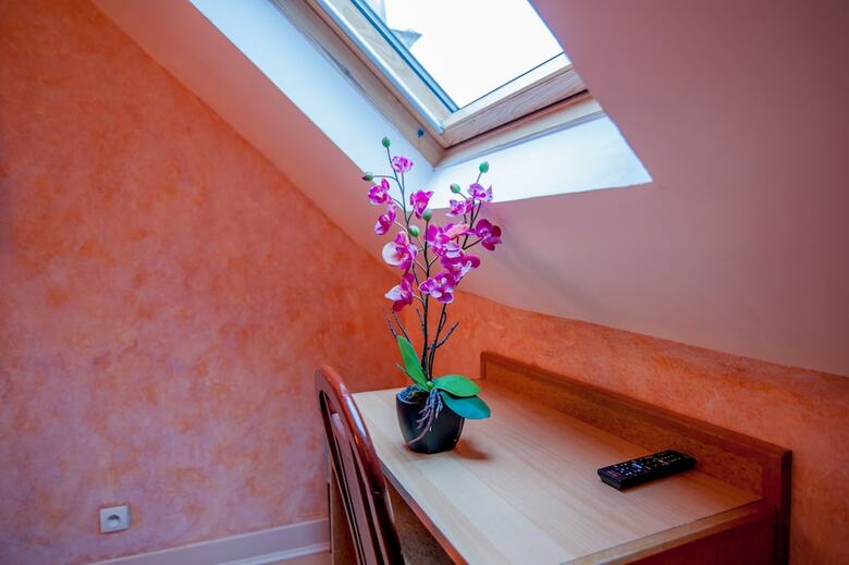 Hotel H�tel L�onard De Vinci