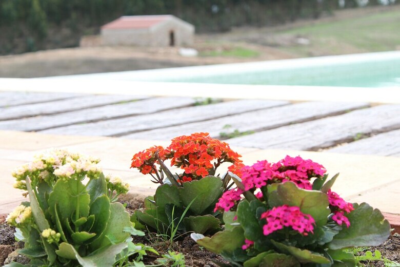 Agroturismo Casas De Mir�briga