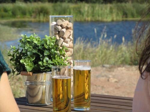 Agroturismo Casas De Mir�briga