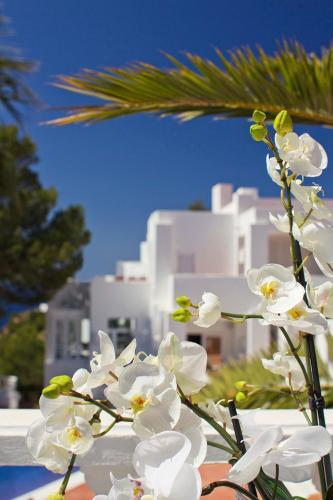 Hotel Village