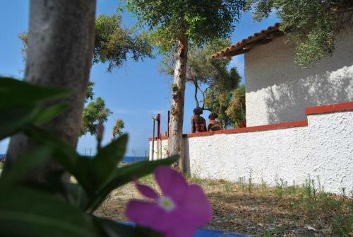 Camping B&B Gioiosa