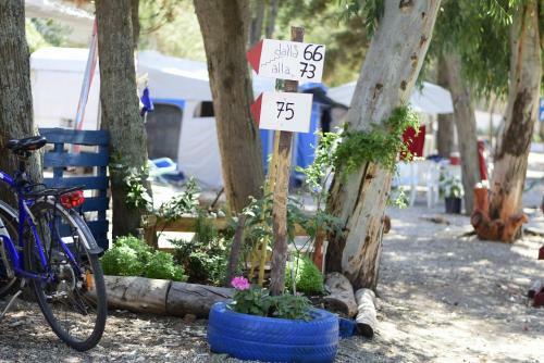 Camping B&B Gioiosa