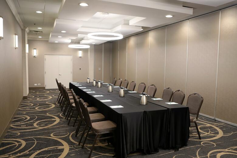 Hotel Holiday Inn Chicago O'hare Area