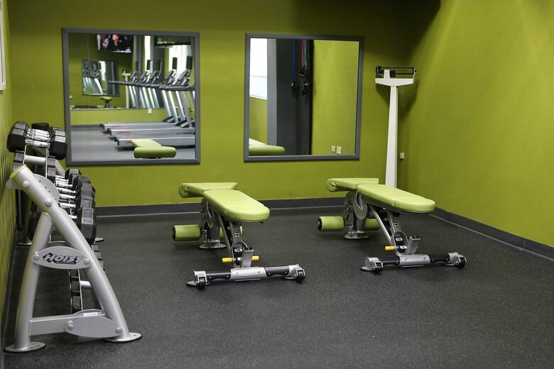 Hotel Holiday Inn Chicago O'hare Area
