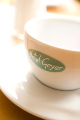 Hotel Geyer