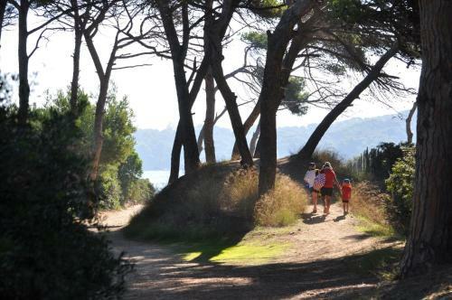 Hotel Le Mediterran�e
