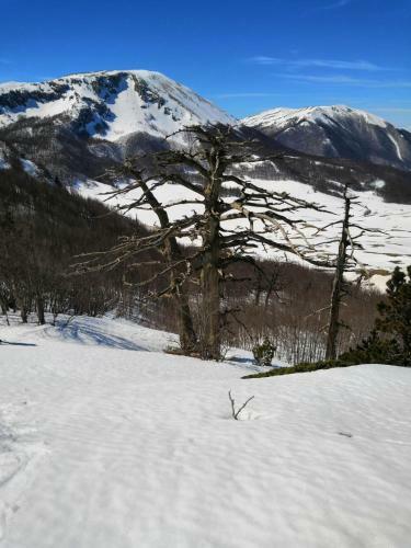 B&B Le Ginestre