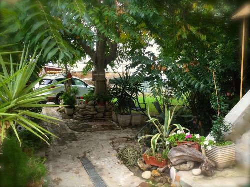 Bed & Breakfast Maison Diamanti