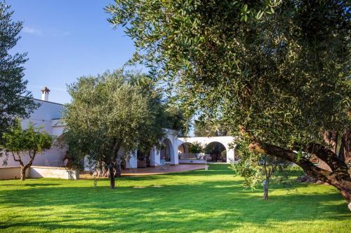 L'ulivo Bed And Breakfast