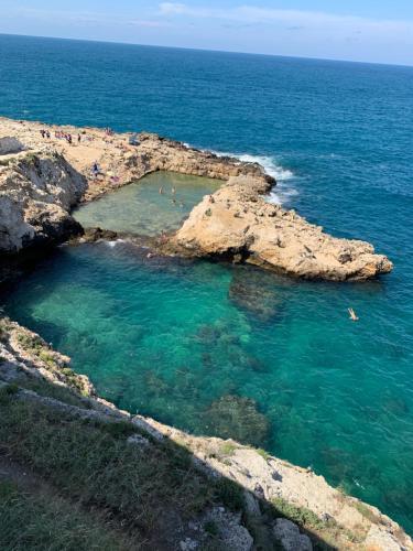 L'ulivo Bed And Breakfast