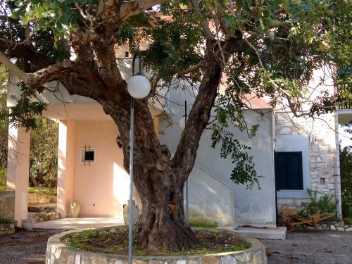 Apartamento Locazione Turistica Biscotti's.2