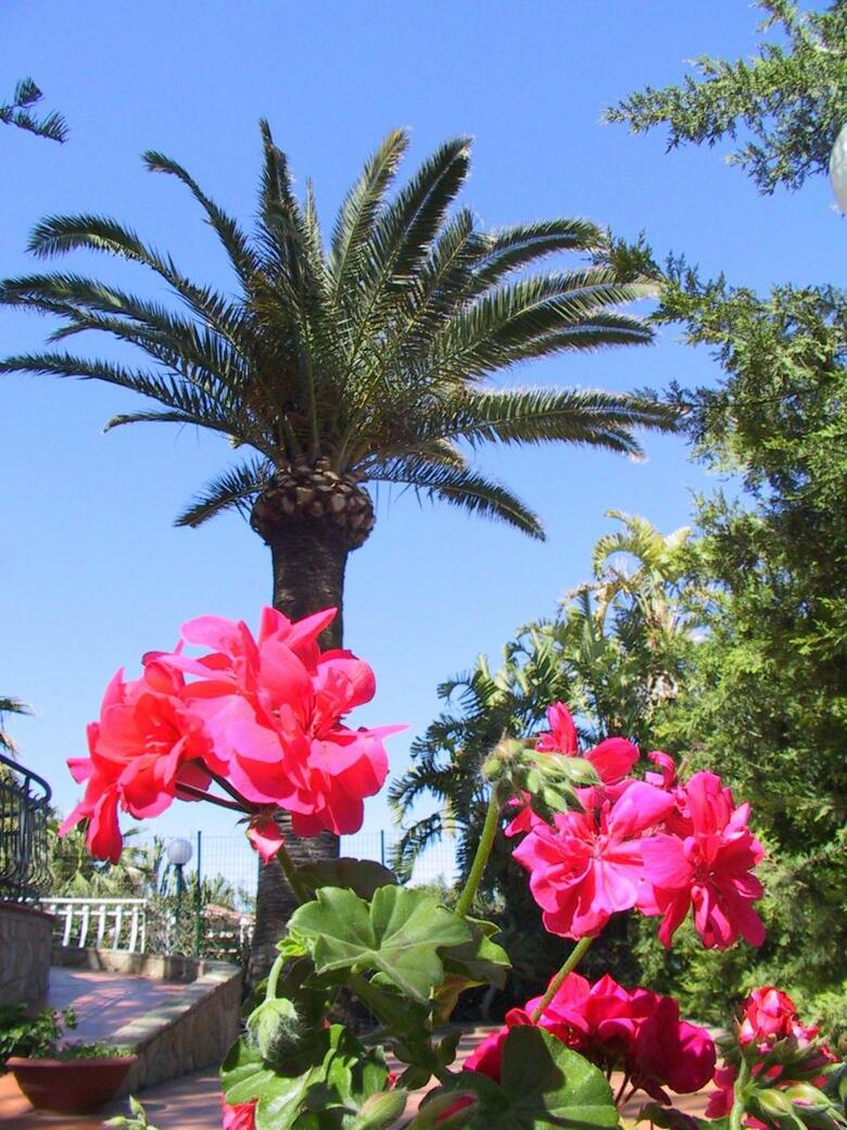 Villa Gaia Hotel