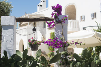 Agroturismo Masseria Salinola