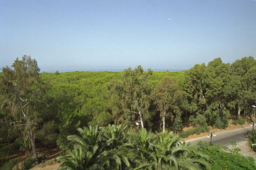 Hotel Le Palme
