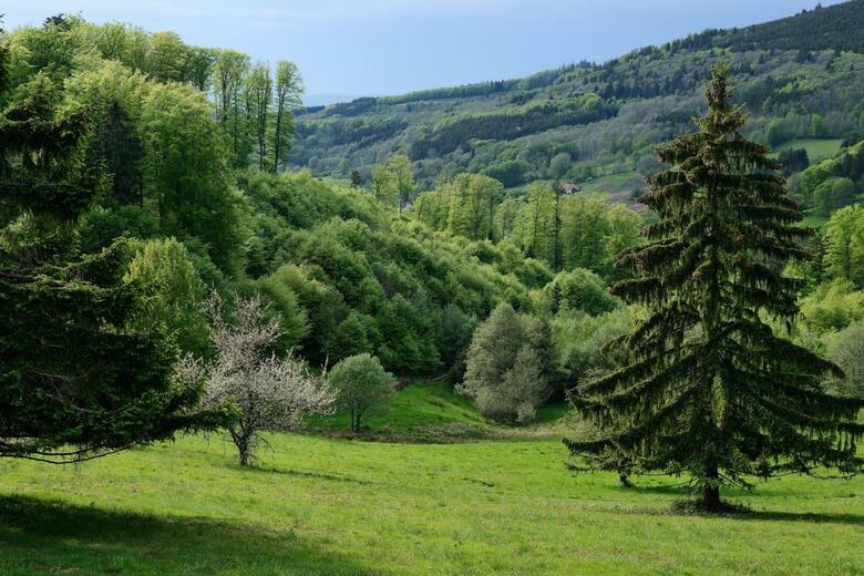 Vvf Villages Saales
