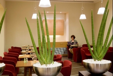 Hotel Novotel Bologna Fiera