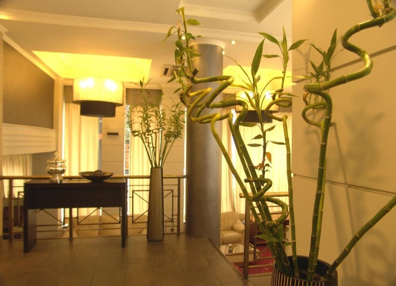 Hotel Minoa