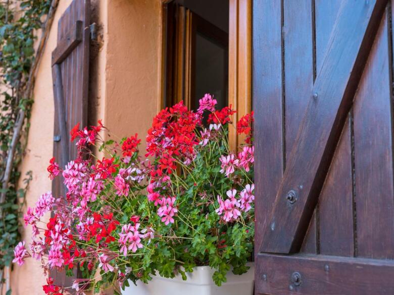 Residencia Rocce Sarde
