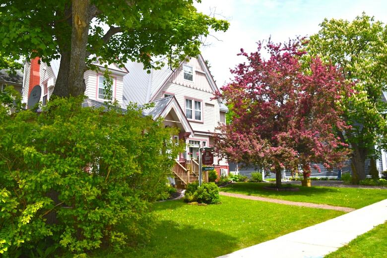 Bed & Breakfast The Harbour House