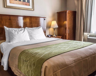 Hotel Comfort Inn