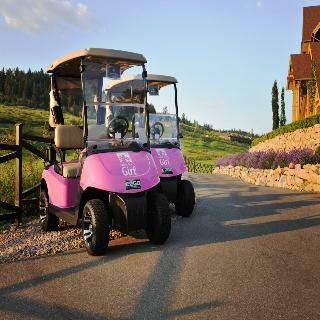 Hotel Predator Ridge Resort