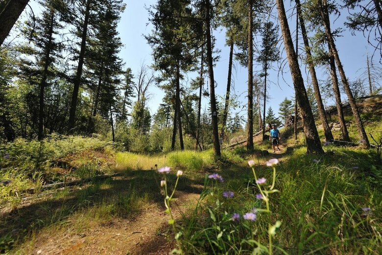 Hotel Predator Ridge Resort