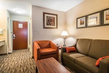 Hotel Comfort Suites Golden West On Evergreen Parkway