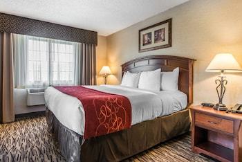 Hotel Comfort Suites Golden West On Evergreen Parkway
