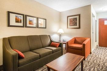 Hotel Comfort Suites Golden West On Evergreen Parkway