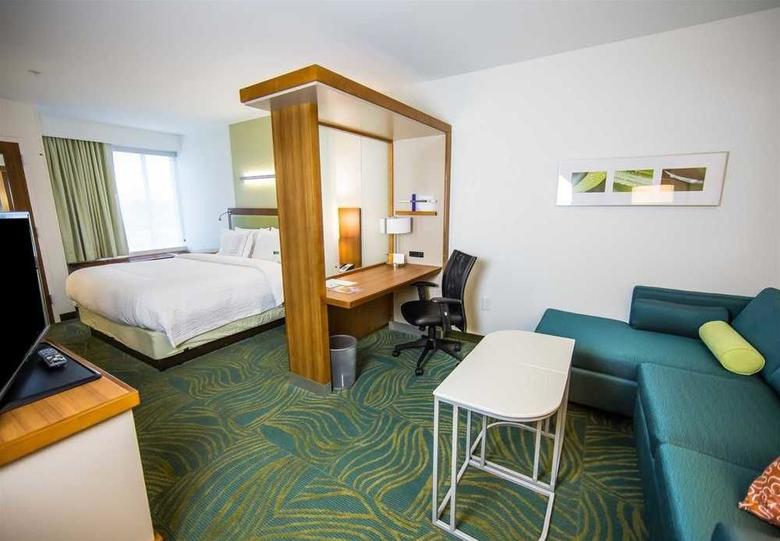 Hotel Springhill Suites Lumberton