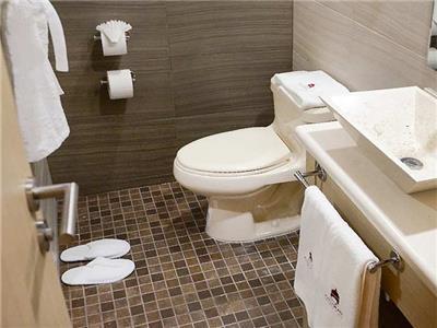 Hotel Plaza Poblana