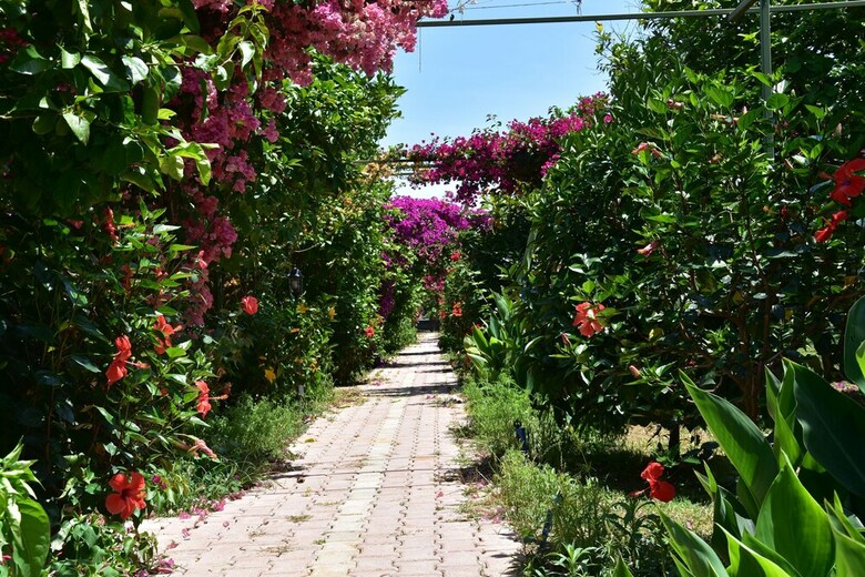 Lemon Garden Lodge